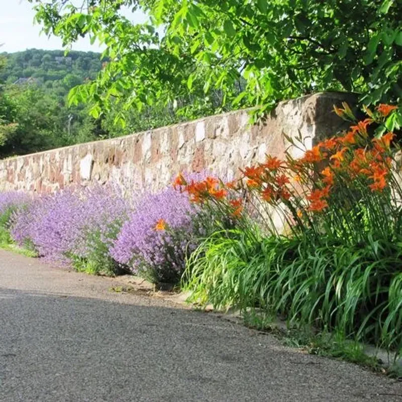 Virágos kőkerítés levendulával és liliomokkal