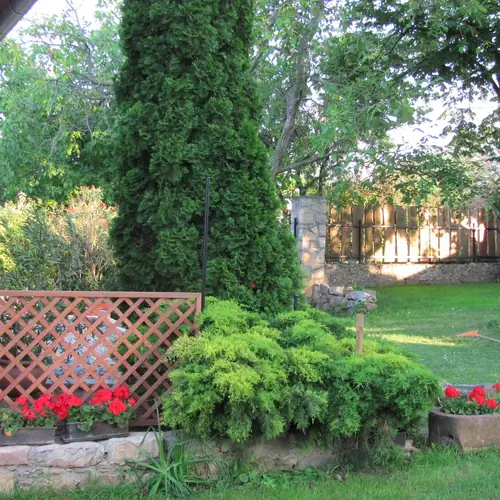 Széles, füves udvar kerítéssel és fákkal