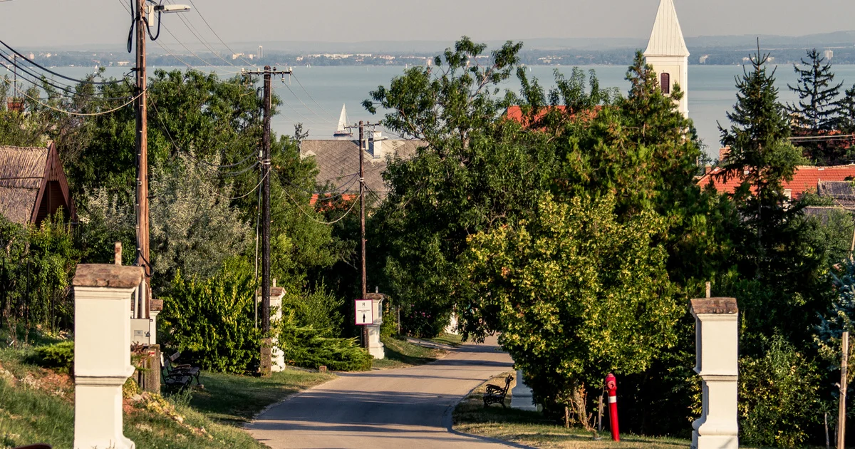 Légi felvétel Paloznak faluról szőlőültetvényekkel körülvéve